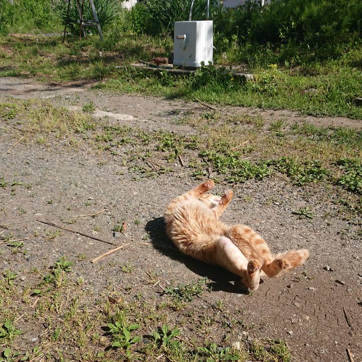 8365dcec 55f2 41fb b6f9 33e6f75895b7 1655103874125