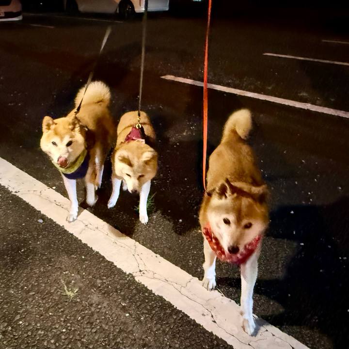 836636d8 9818 417d 81b6 fbd7f2a0f067 1757172497597