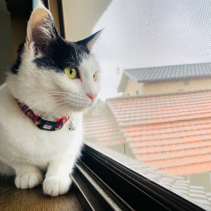 83666767 cdb9 4873 9170 54d1c850e877 1654724255902