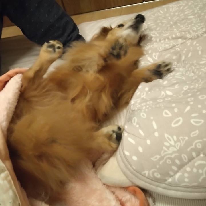 83667c71 a065 41ac 9ad4 4cc5fbcb05f4 1675862547730