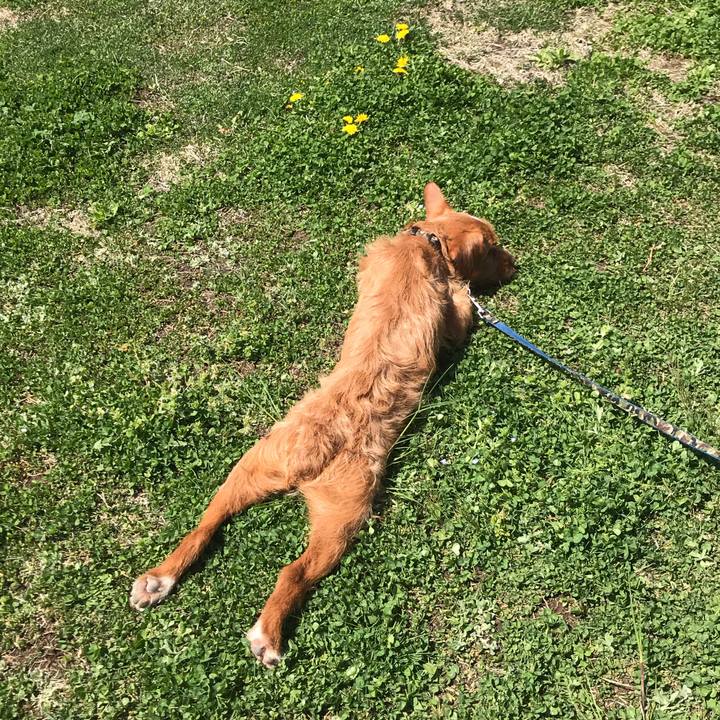 83667df5 848b 477c a720 f8489870605f 1556608695742