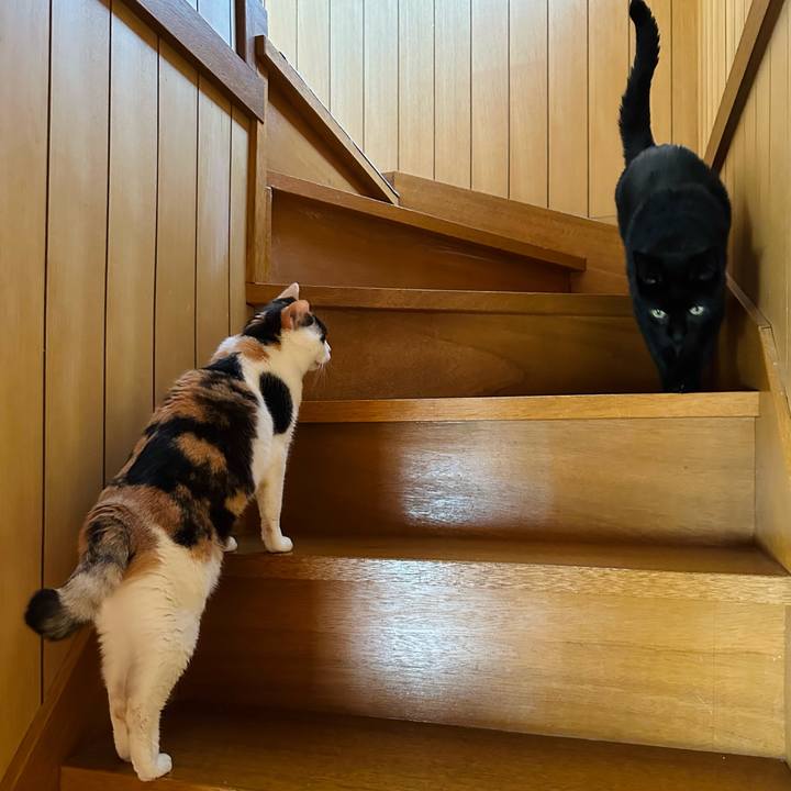 8366affe 4217 43cd 81f4 808f2e75d24a 1679275512044