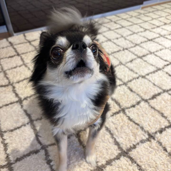 8366dbef 29b9 4178 afe5 80c26dd251c5 1741450073437