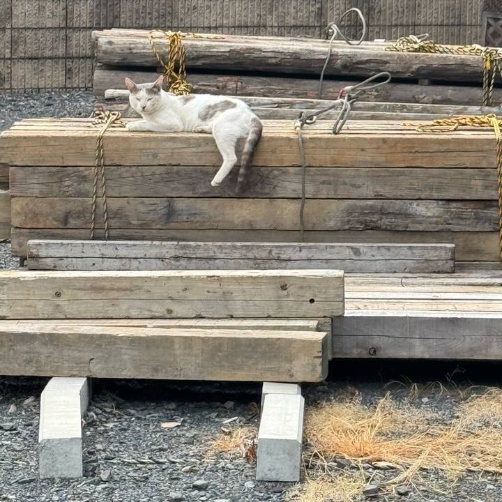 8366dc40 45d0 4e95 a2ee 873f113cae92 1754431548231