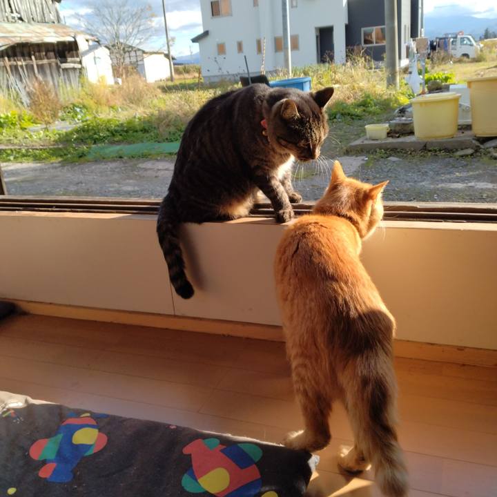 836761c8 0128 44bb a0b2 37ddf1eb3974 1667712076734