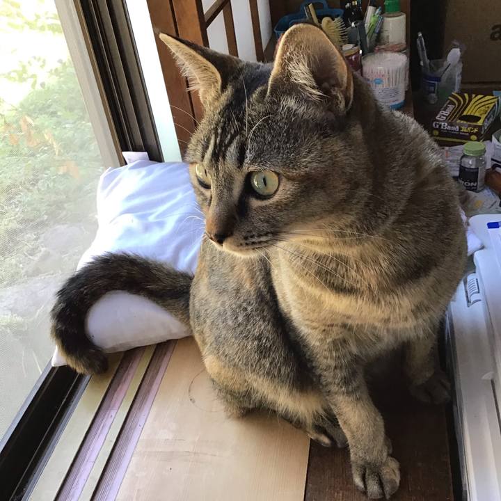 8367812f a6d6 4404 a7ab 6487a7ca96c9 1584509165162