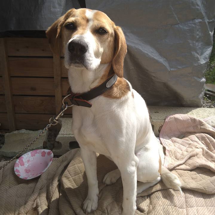 836789a7 d952 4a28 b82a fa886f53c6fc 1648182064386