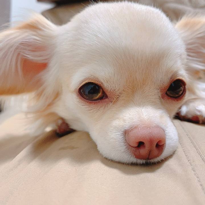 83679ee3 3504 4989 a2a8 b02ea8976313 1618715119176