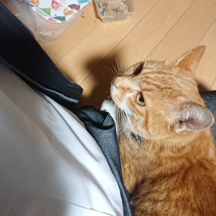 8367bde0 fa0e 49f4 a6d2 c3cea639cc88 1602753119139