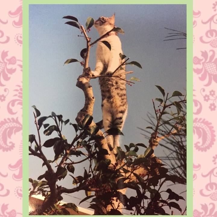 8367c453 d7f8 4522 bc55 09c49c884237 1568901530607