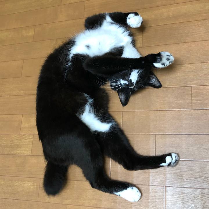 8367f6fc b83b 4cc6 8e1b 858b27016ad8 1629343651665