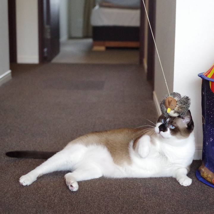 836807c1 59a5 47a0 9548 1e22d5b1f93b 1546770555016