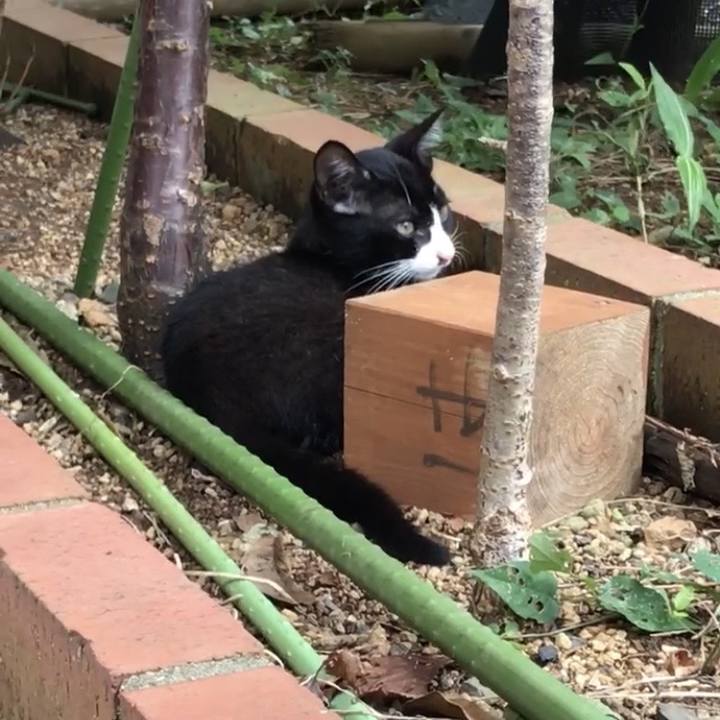 83684e4d 0e7c 4f54 b2f2 18db4cce52ef 1729109490348