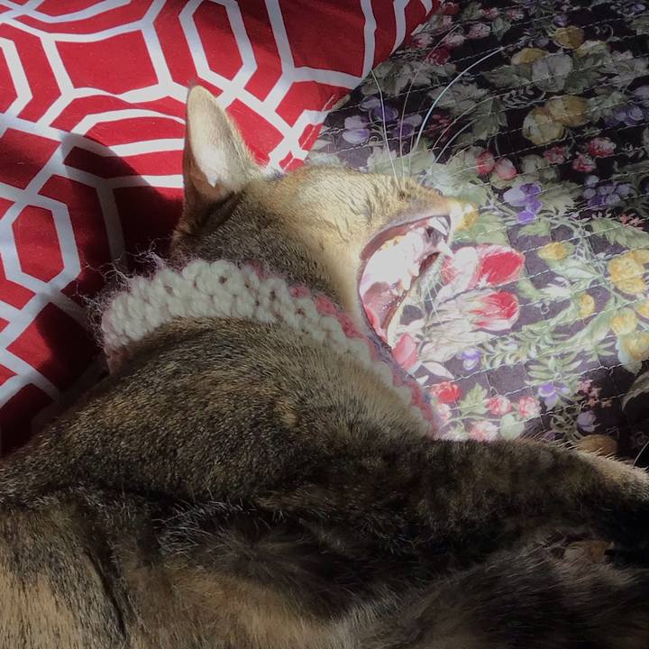 83684ec6 5ae5 4cb0 b4fb 135eabd8c882 1619218167963