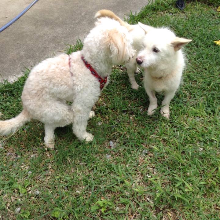 836869b8 aca9 4f7f bd1e e344e8edbd23 1530951443201