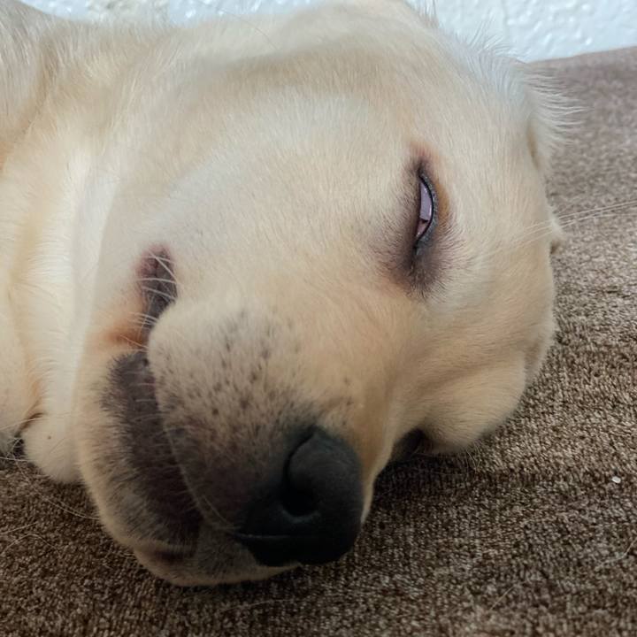 8368a3fe e828 4ec7 bd8f 0a5c500bff2a 1613200755662