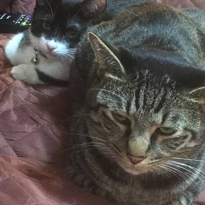 8368eccd 80bd 48ed b6a8 d46ca0c54d13 1511131381776