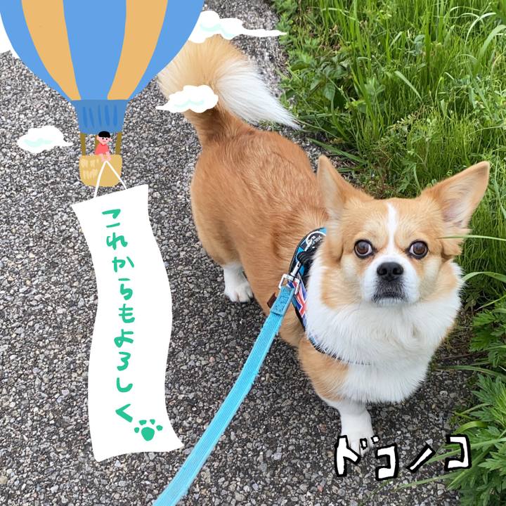 836909a9 e2f9 422c 9115 c14ede8294b3 1686013734272