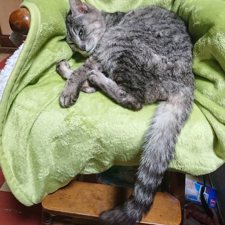 83690d61 8b4e 41ba ac10 99b5816d3f51 1587638693562