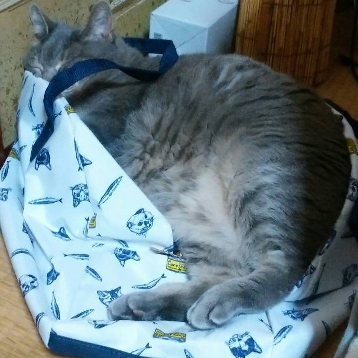 83692023 cd05 42b2 8dcf 2f05560844a9 1525525651612