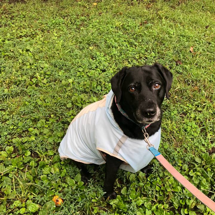 83692f53 db58 4444 b2b9 f0fc90251c0f 1537923977294