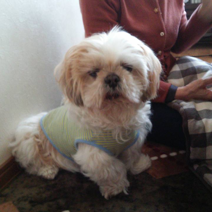 83696bd6 85e3 471b 8b09 2265ce6a1a5f 1521964158524