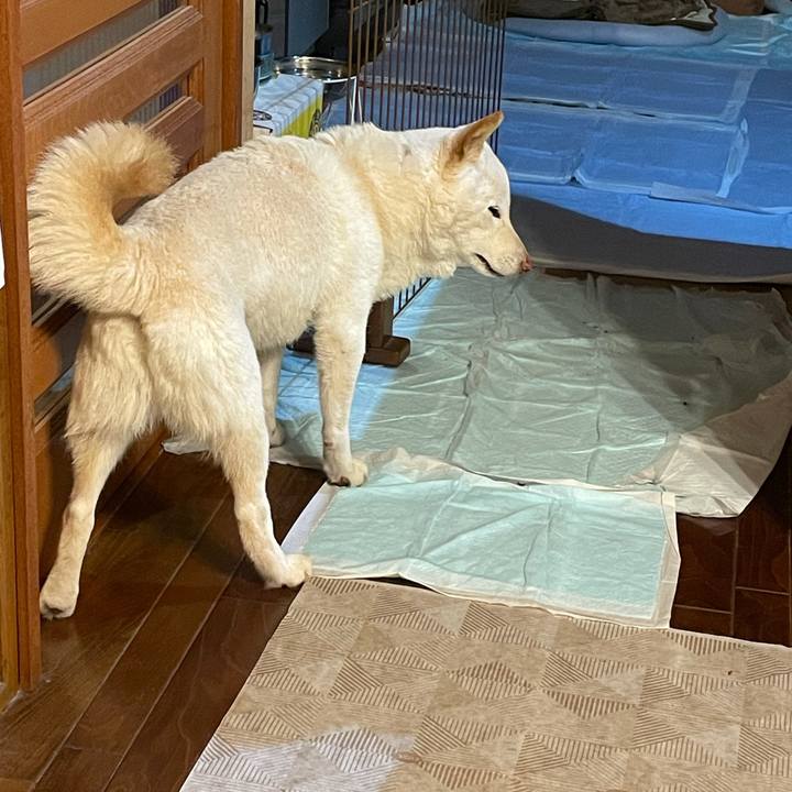 83699d6e 5f15 4f52 948d 9f028d920234 1638544279547