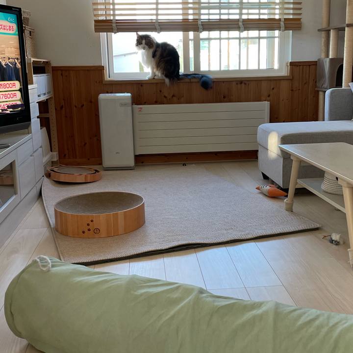 83699f57 53ba 408f 87ea 4d755838b846 1683751072023