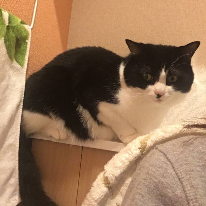 8369a40a 9f1f 405d 9ad7 d42cefdbd1dc 1573435459311