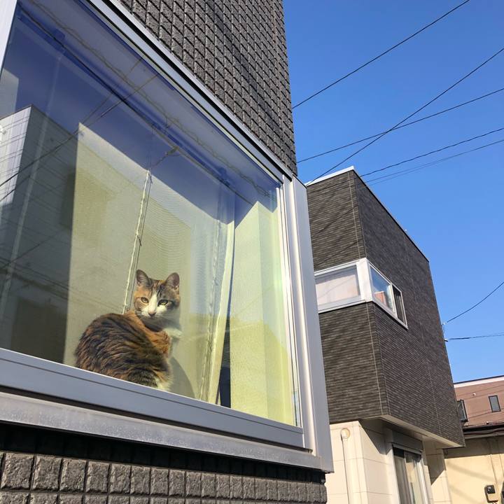 8369ca91 88d5 47ba 8920 7b54906acfe8 1583135046821