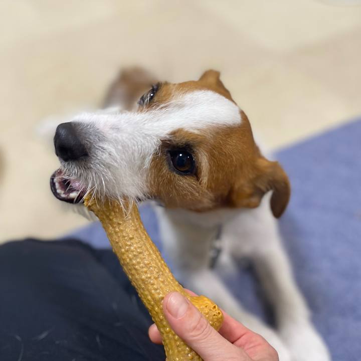 8369d272 30e9 46ea 853d 7498a863ea83 1758456245070