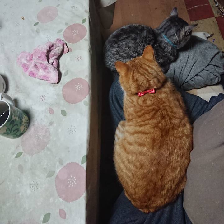 8369fb87 bcac 4dd9 b216 df943ae67fb5 1577393188872