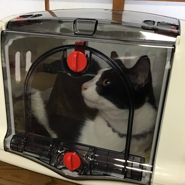 836a34b4 5f0c 42a1 a723 11cf557e850b 1639268221924