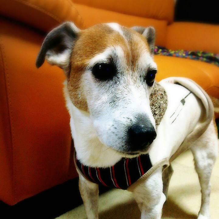 836a4393 fdb4 48f7 8c76 1ed2d7ef6256 1508590835560