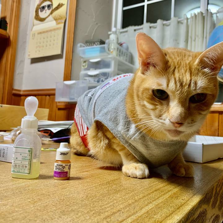 836a6884 07f4 4e7b b619 2004b48ae2d6 1605793780933