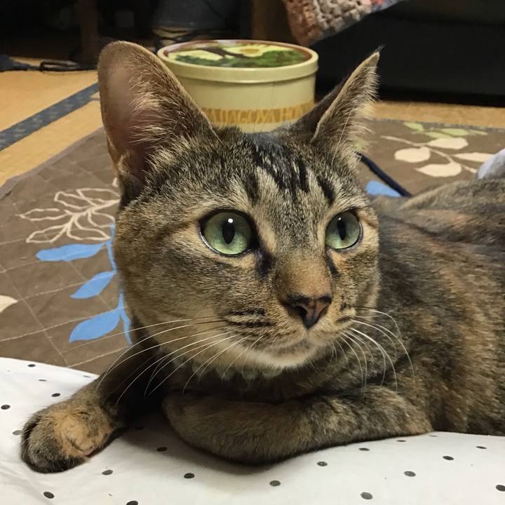 836aa7a0 3341 4f17 89fa 7b1cfbb777d4 1645312719429