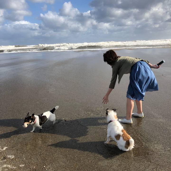 836b170f f623 4258 8ec1 ef3e5555de53 1534462754885