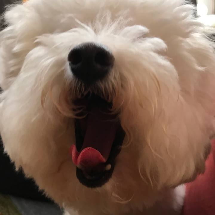 836b20f8 4127 4c9b 8b48 130eae98cfa1 1570666734996