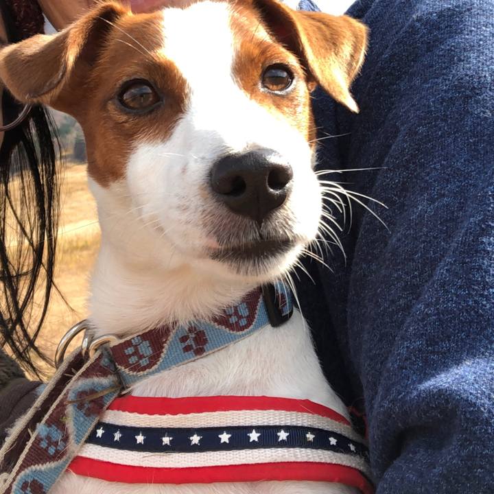 836bb064 ac3c 44f9 a759 f1337ce64a12 1549529077454