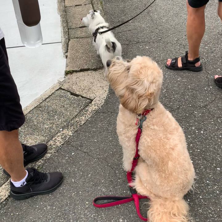 836bd76b 66b8 40ee a03e ba941cef8c25 1719910094559