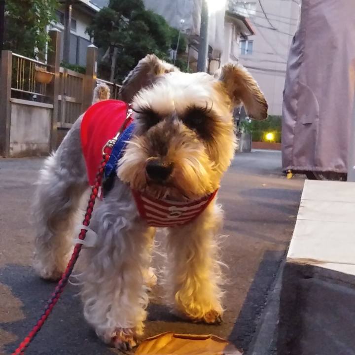 836c1f11 773e 487e 8f06 0d931ce3fb07 1605823025414