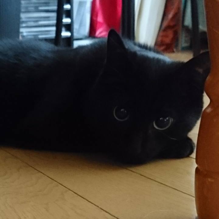 836c372c c180 4a9e ac08 bd384e709b8f 1534634736805