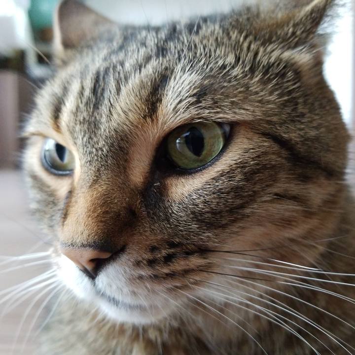 836c3f2a 2b93 4eb5 a619 e97a2d9be63c 1592612901169