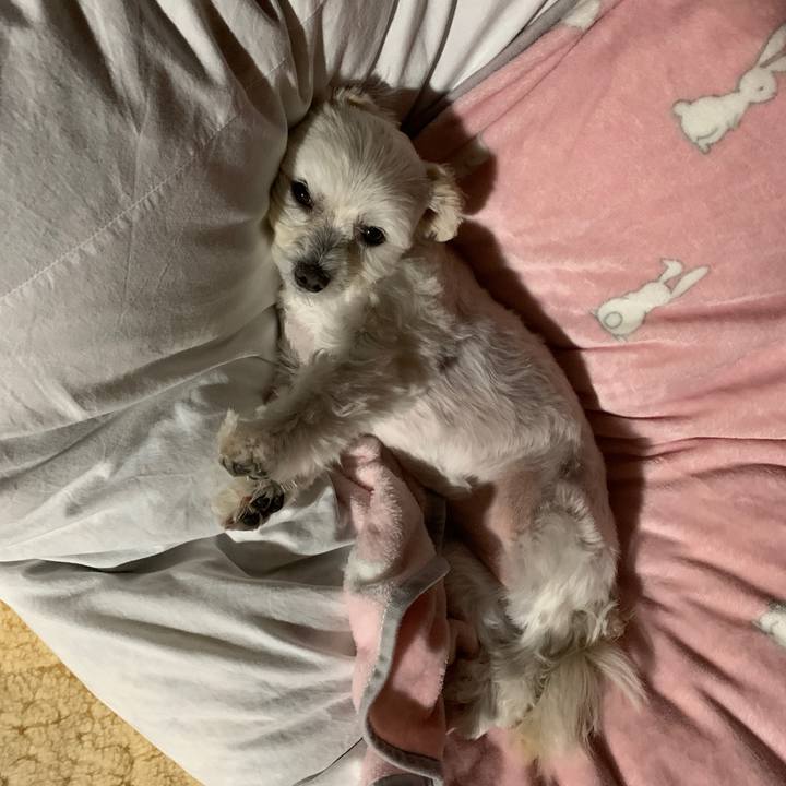 836c5d3f d0ea 44c4 9469 0fbec89a69d3 1605698507306