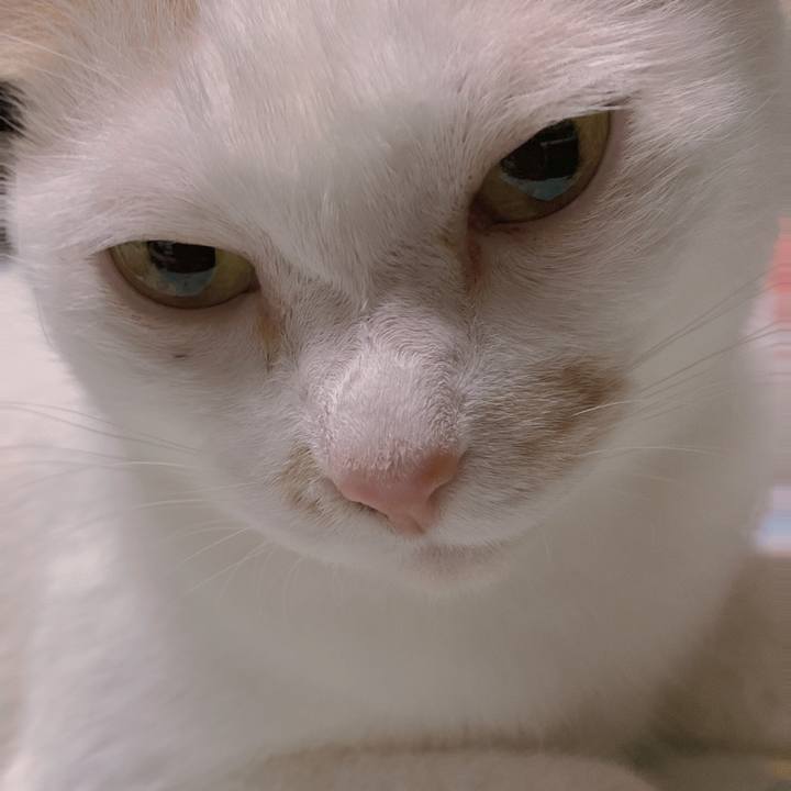 836c8b5a f0e8 4747 86ad 34aedbb16145 1694785186808