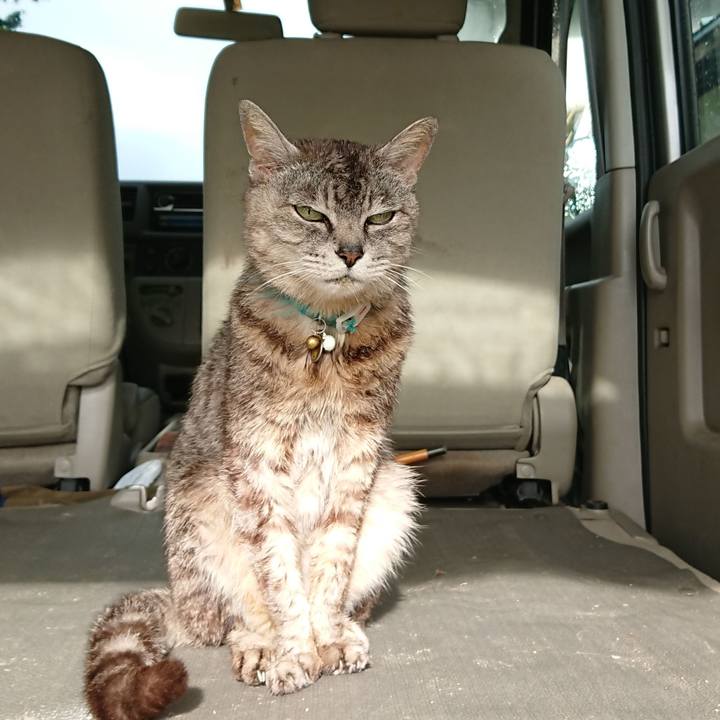 836c933e 38ee 4203 a81c 32130726910a 1564179354071