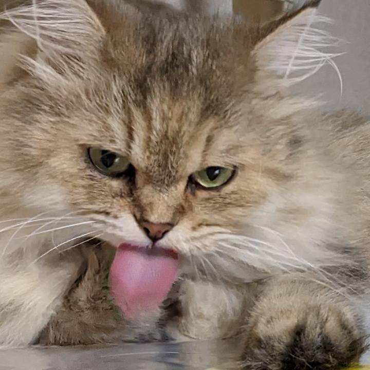 836cc709 6249 4877 b109 81807f578638 1663289518455