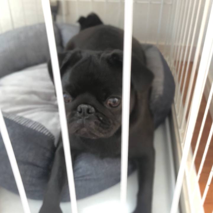 836cf5c1 039e 4f0a 84c8 ecf1ad11dba1 1605931770048