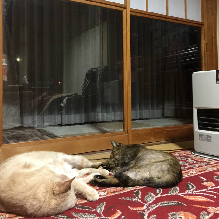 836cfb22 c8a8 4b58 8ccb 25613248f8b2 1578148955783