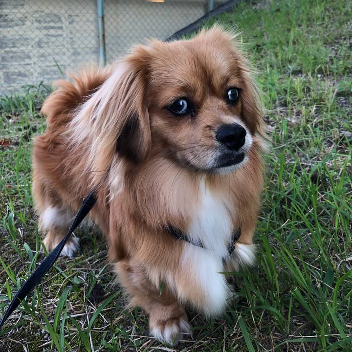 836d57d6 3b42 4e58 8f92 643c0ef0c59f 1528149074489